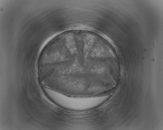 X0000087421120200705181416
