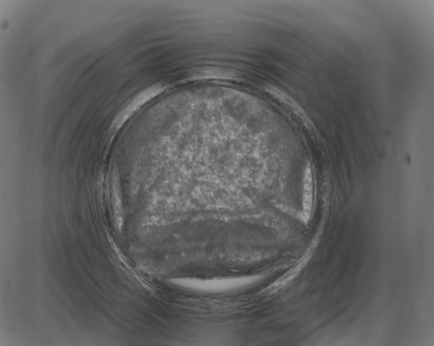 X0000087421121200705181416