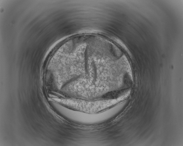 X0000087421124200705181416