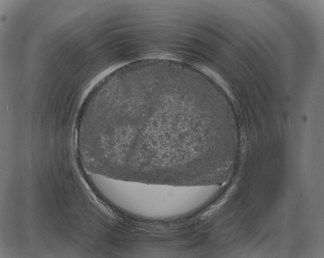 X0000087421125200705181416