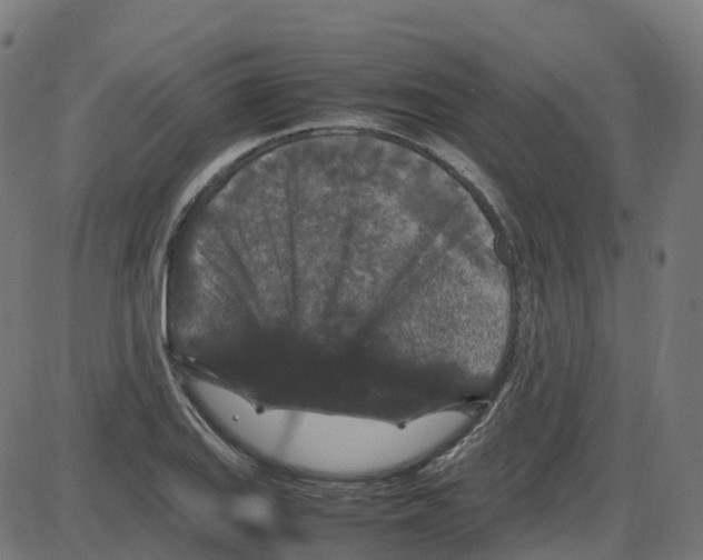 X0000087421127200705181416
