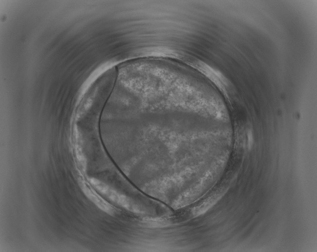 X0000087421132200705181416