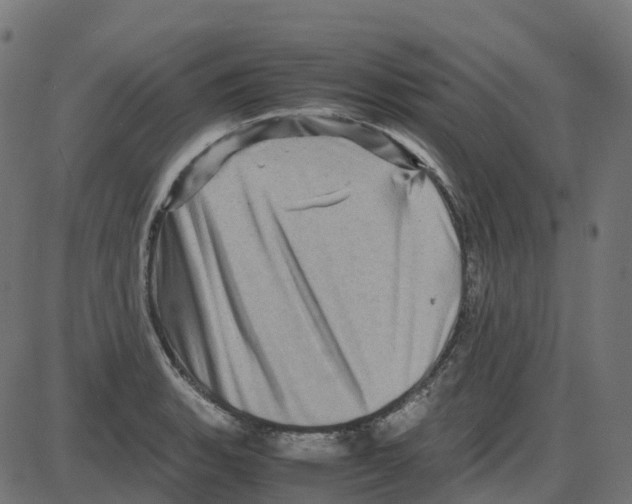 X0000087421135200705181416