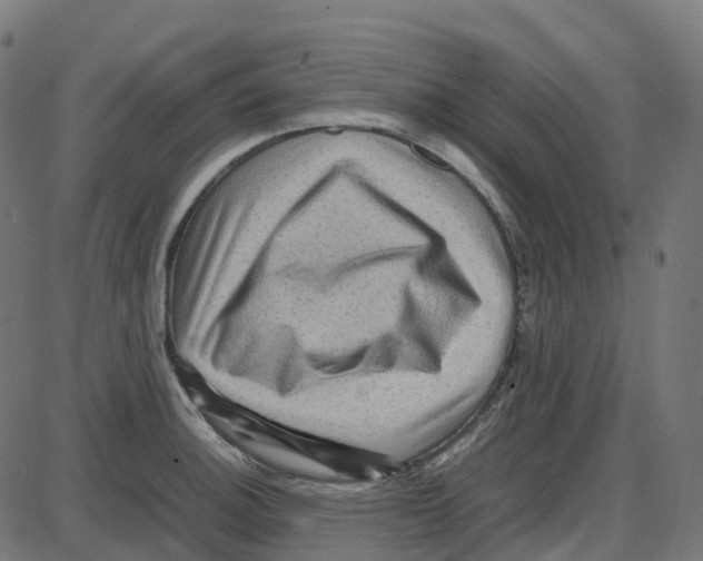 X0000087421140200705181416