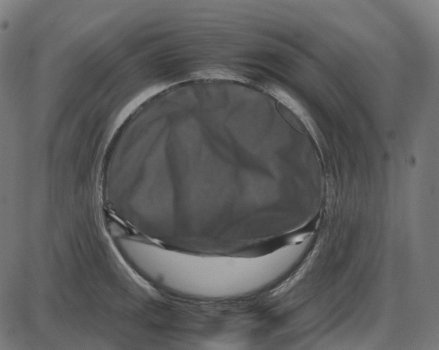 X0000087421141200705181416