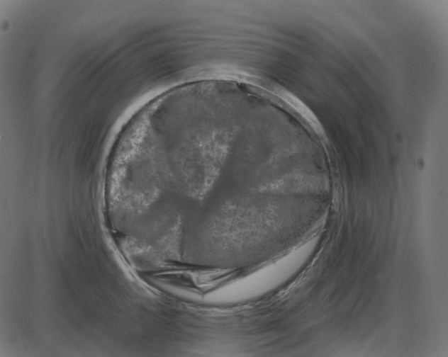 X0000087421144200705181416