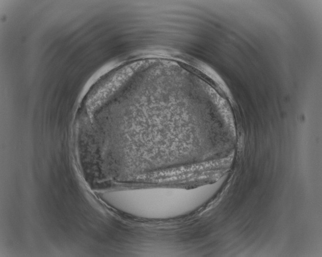 X0000087421146200705181416
