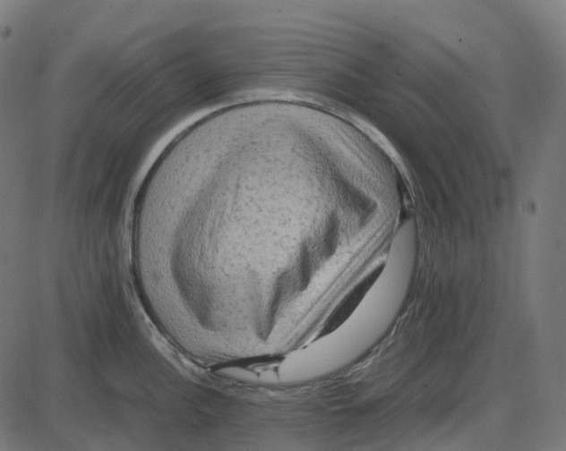 X0000087421148200705181416