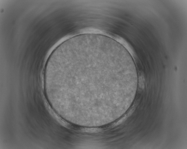 X0000087421150200705181416