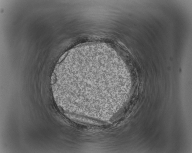 X0000087421153200705181415