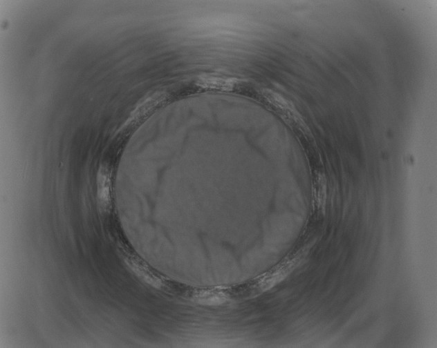 X0000087421154200705181415
