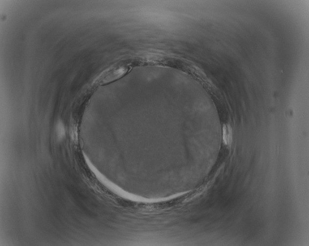 X0000087421155200705181415