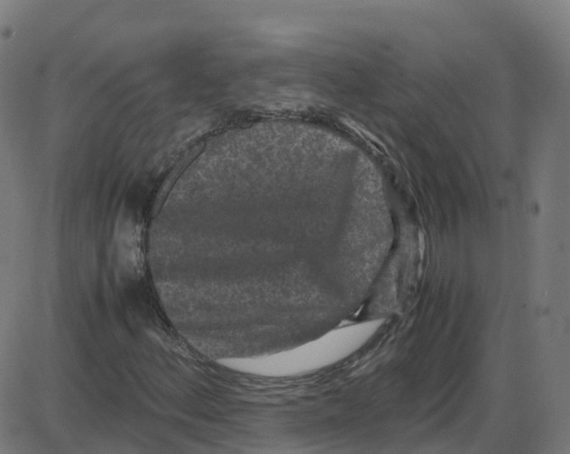 X0000087421156200705181415