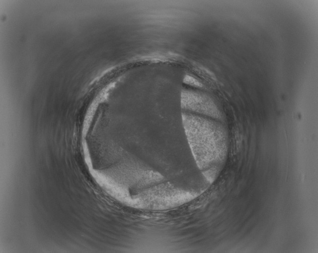 X0000087421158200705181415