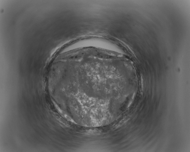 X0000087421160200705181415