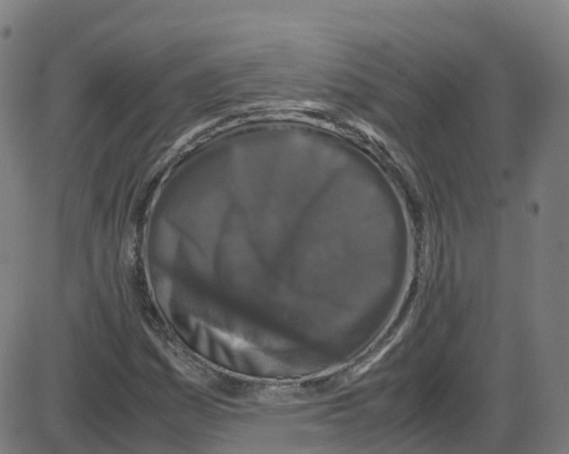 X0000087421161200705181415