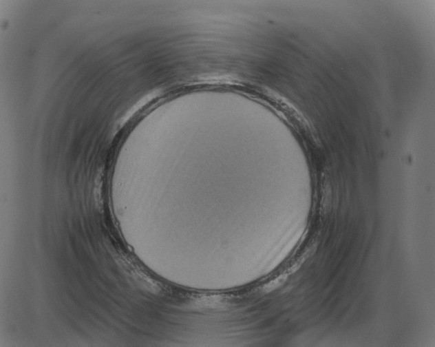 X0000087421162200705181415