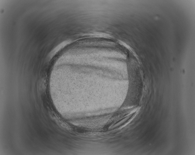 X0000087421163200705181415
