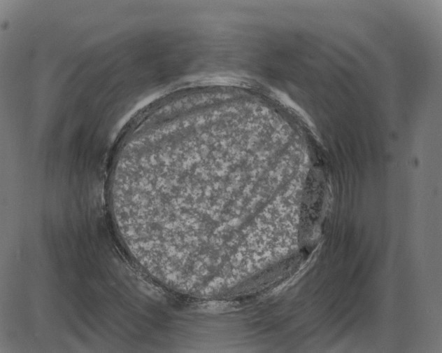 X0000087421166200705181415