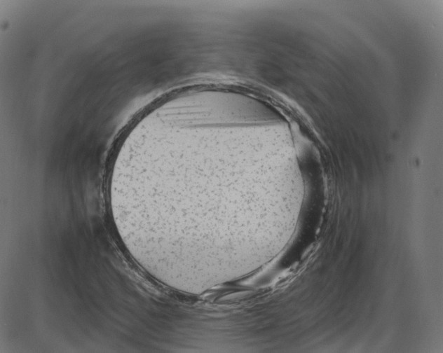 X0000087421168200705181415