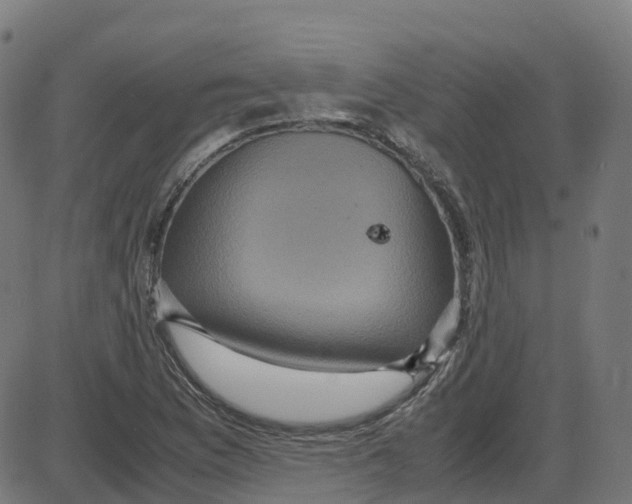 X0000087421169200705181415