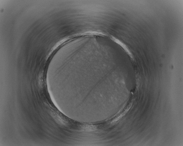 X0000087421170200705181415