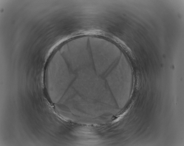 X0000087421174200705181415