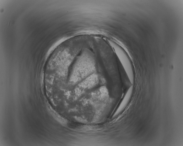 X0000087421179200705181415