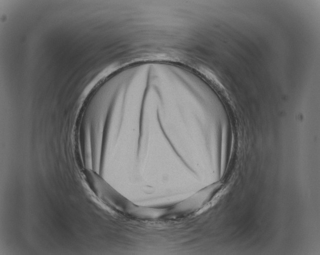 X0000087421181200705181415