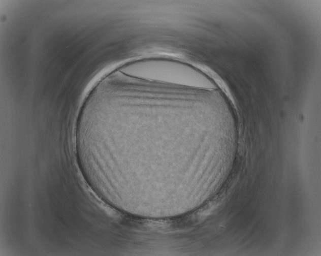 X0000087421191200705181415