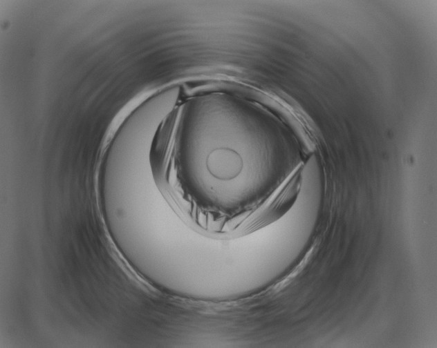 X0000087421196200705181415