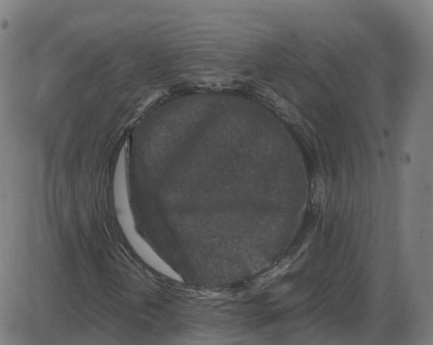 X0000087421202200705181414