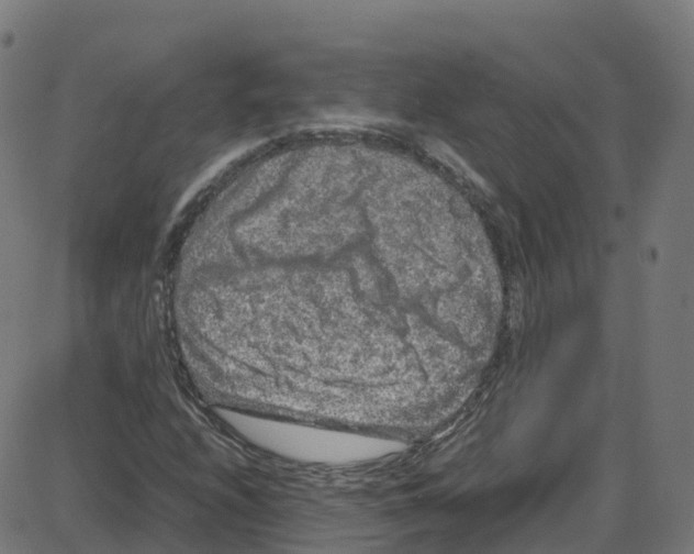 X0000087421208200705181414