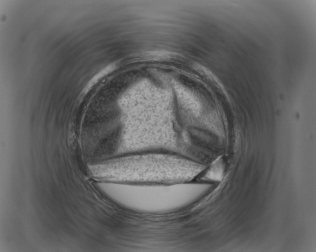 X0000087421210200705181414