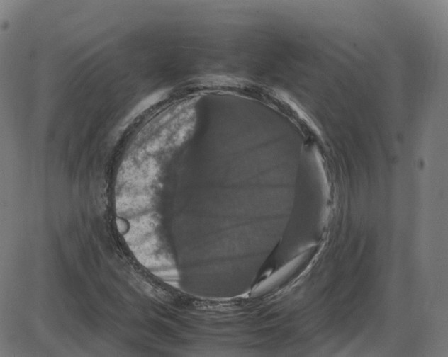 X0000087421213200705181414