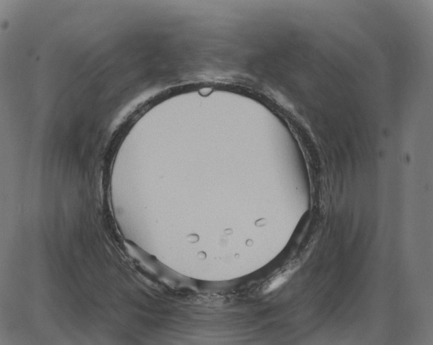 X0000087421214200705181414