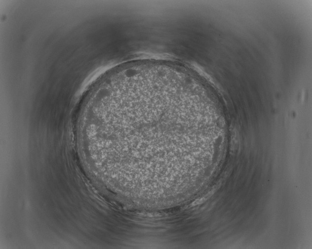 X0000087421215200705181414