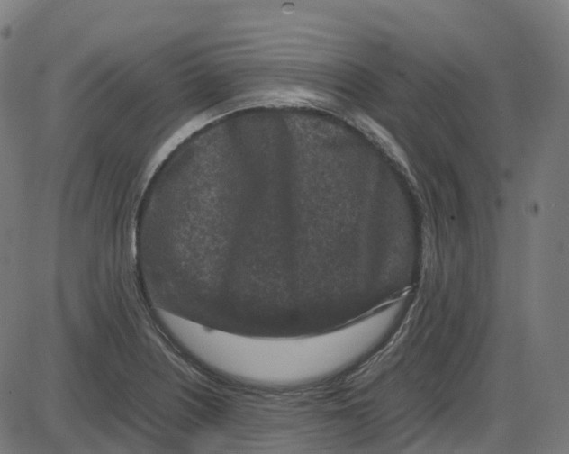 X0000087421226200705181414