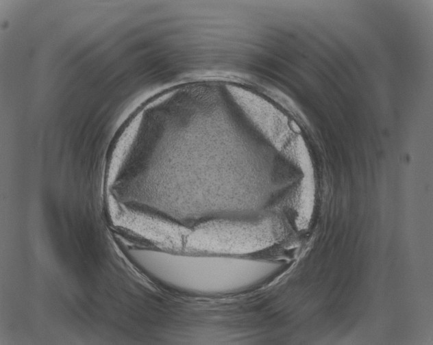 X0000087421228200705181414