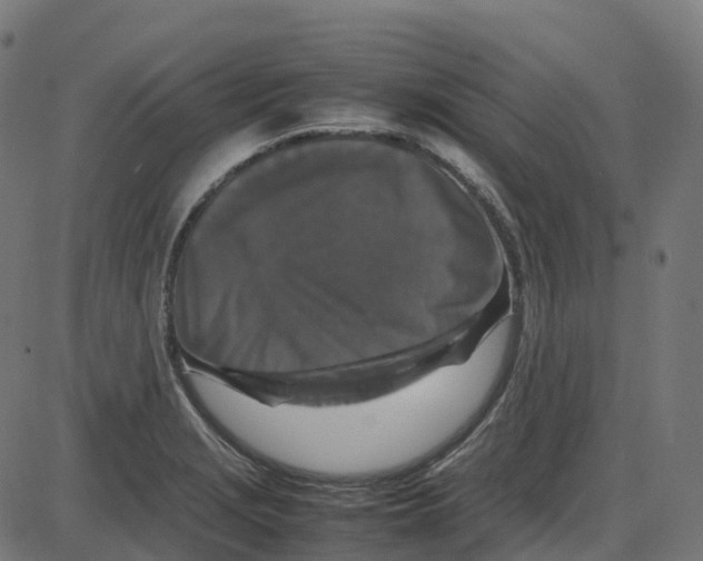 X0000087421229200705181414