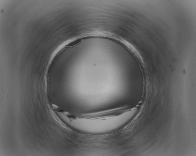 X0000087421238200705181414