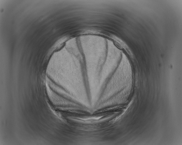 X0000087421241200705181414