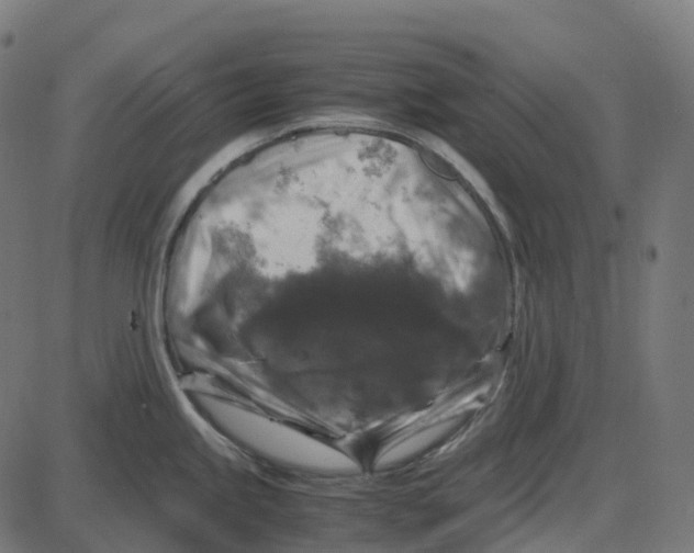X0000087421245200705181415