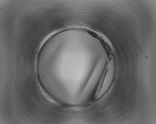 X0000087421246200705181415