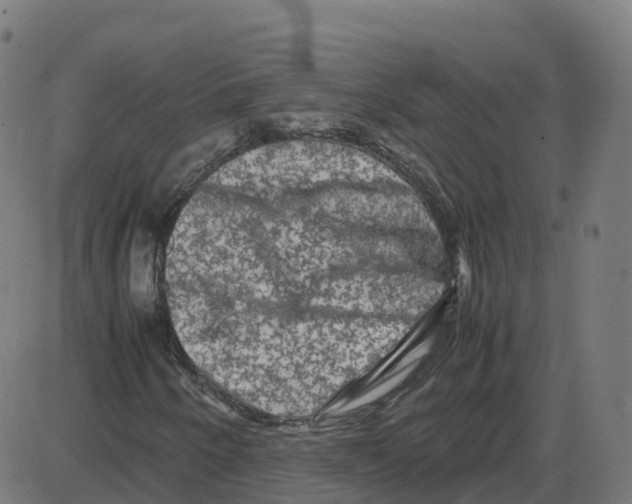 X0000087421250200705181414