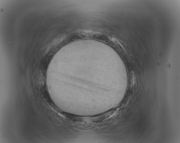 X0000087421253200705181414