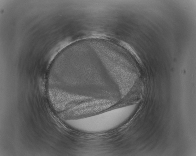X0000087421260200705181414