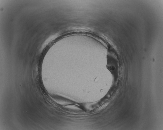X0000087421261200705181414