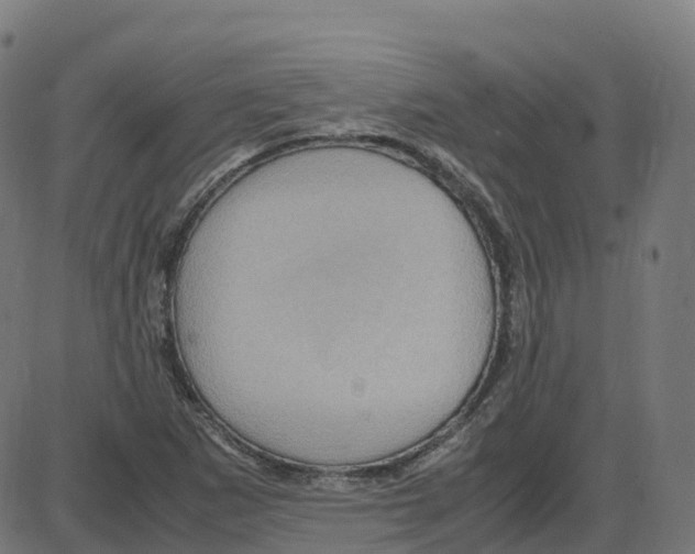 X0000087421265200705181414