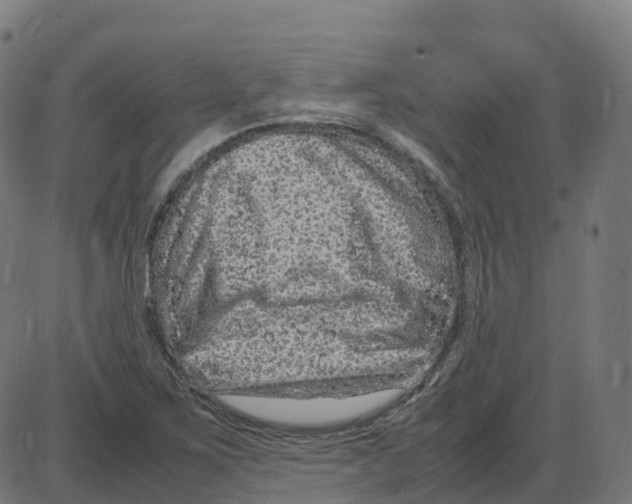 X0000087421267200705181414
